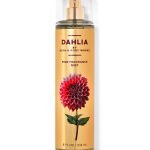 dahlia mist