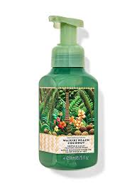 WAIKIKI BEACH COCONUT HAND SOAP